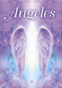 ANGELES PROTECCION Y SABIDURIA