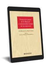 PROTECCION PENAL DE LA LIBERTAD E INDEMNIDAD SEXUAL DE LOS MENORES