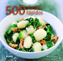 500 PLATOS RAPIDOS