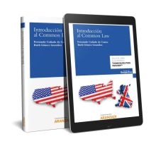 Introducción al Common Law (Papel + e-book)