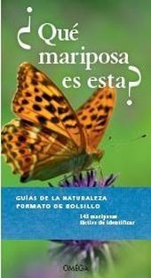 QUE MARIPOSA ES ESTA