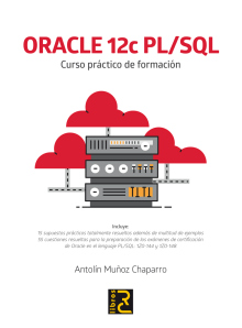 ORACLE 12C PL/SQL. CURSO PRACTICO DE FORMACION