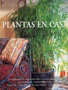 Plantas en casa.