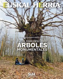 Rutas para descubrir árboles monumentales