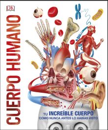 CUERPO HUMANO