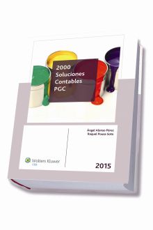 2000 SOLUCIONES CONTABLES PGC 2015