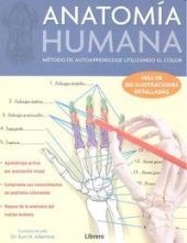 ESTUDIO DE ANATOMIA Y APRENDE COLOREANDO