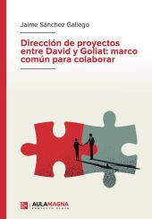 DIRECCION DE PROYECTOS ENTRE DAVID Y GOLIAT: MARCO COMUN PARA COLABORAR