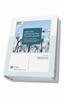 Aplicación práctica del Plan General Contable