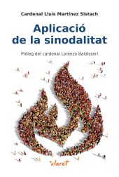 APLICACIO DE LA SINODALITAT