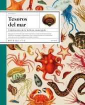 Tesoros del mar
