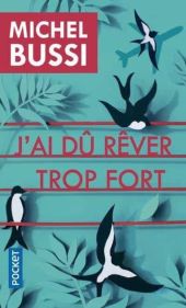 J AI DU REVER TROP FORT