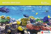 NATURA ZIENTZIAK. 5 LEHEN HEZKUNTZA
