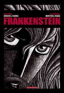 FRANKENSTEIN (NOVELA GRAFICA)