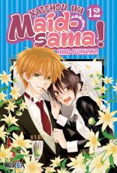 KAICHOU WA MAID-SAMA! 12 (COMIC)