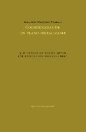 COORDENADAS DE UN PLANO IRREALIZABLE