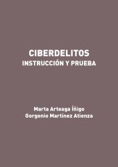 Ciberdelitos