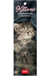 BOOKMARK CALENDAR - 2026 BOOKMARK CALENDAR - KITTENS - 5.5X18 - CATS LEGAMI