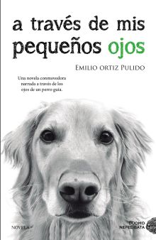 A TRAVES DE MIS PEQUEÑOS OJOS