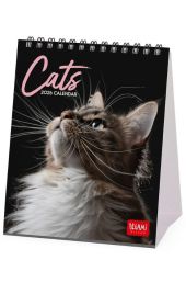DESK CALENDAR - 2026 DESK CALENDAR - CATS - 12X14,5 - CATS LEGAMI