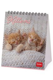 DESK CALENDAR - 2026 DESK CALENDAR - KITTENS - 12X14,5 - CATS LEGAMI