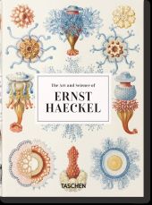 ERNST HAECKEL – 40