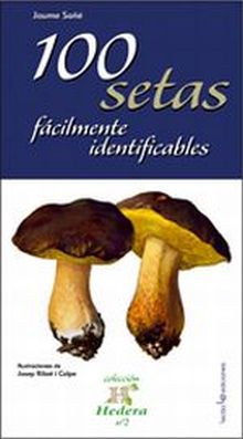 100 SETAS FÁCILMENTE IDENTIFICABLES