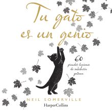 TU GATO ES UN GENIO 60 GRANDES LECCIONES