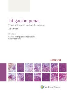LITIGACIÓN PENAL