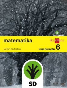 SD Profesor. Matematika. Lehen Hezkuntza 6. Bizigarri