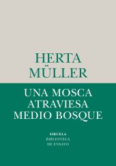 UNA MOSCA ATRAVIESA MEDIO BOSQUE
