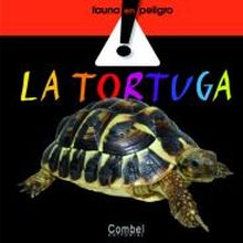 LA TORTUGA