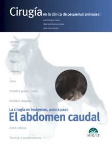 Cirugía en la clínica de pequeños animales. El abdomen caudal