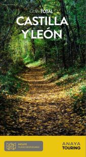 CASTILLA Y LEON