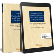 La protección por muerte y supervivencia en el sistema español de Seguridad Soci