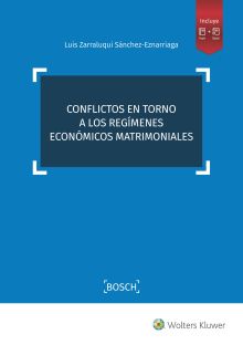 CONFLICTOS EN TORNO A LOS REGÍMENES ECONÓMICOS MATRIMONIALES