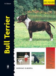 BULL TERRIER