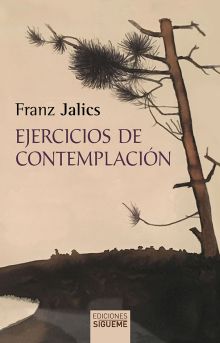 EJERCICIOS DE CONTEMPLACION