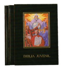 BIBLIA JUVENIL