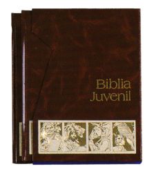 BIBLIA JUVENIL