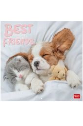 WALL CALENDAR - 2026 WALL CALENDAR - BEST FRIENDS - 30X29 - ANIMALS LEGAMI