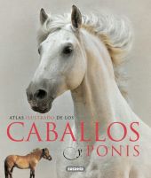 CABALLOS Y PONIS