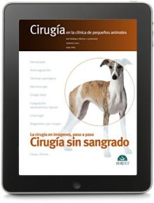 Cirugía en la clínica de pequeños animales. Cirugía sin sangrado