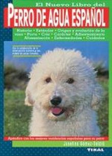 Perro de agua español