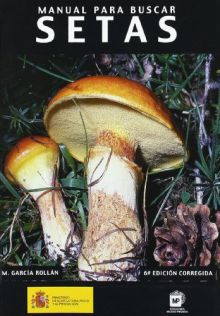 Manual para buscar setas