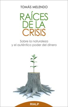 Raíces de la crisis