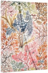 AGENDA 2026 ANEMONAS WILLIAM