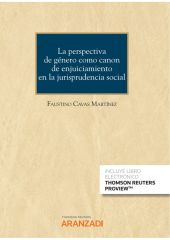 La perspectiva de género como canon de enjuiciamiento en la jurisprudencia socia