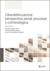 CIBERDELINCUENCIA: PERSPECTIVA PENAL, PROCESAL Y CRIMINOLOGICA