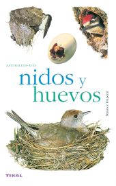 NIDOS Y HUEVOS